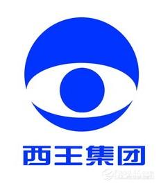 西王药业有限公司